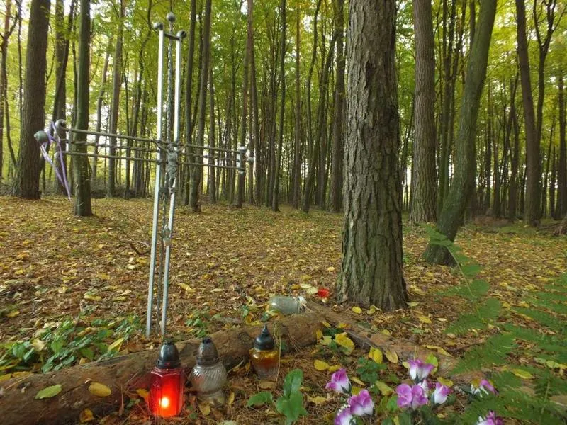 Dojazd do Starego Gaju w Lublinie