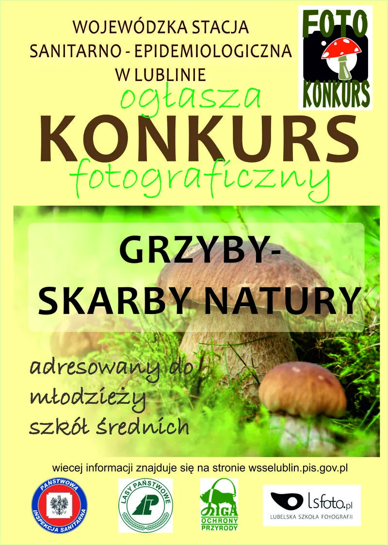 Najlepsze miejsca na grzyby w Lublinie