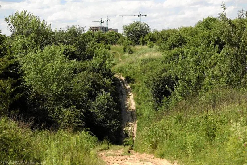 Przyszłość Lublina